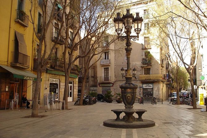 Picasso Museum & Private Walking Tour of Born or Gothic Quarter - The private format and guide quality