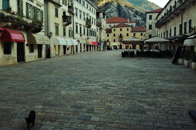 Port of Kotor - Kotor-Perast-Our lady of the rocks private tour - Who should book this experience