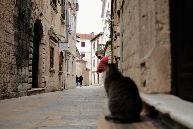 Port of Kotor - Kotor-Perast-Our lady of the rocks private tour - What the private sedan changes