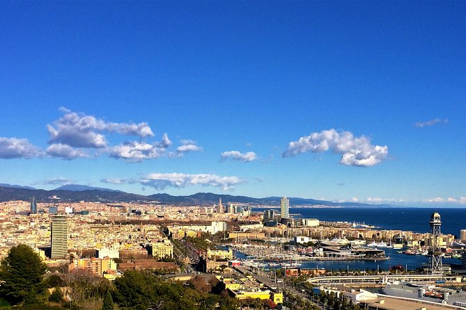 Private Barcelona and Sagrada Familia Tour with Hotel Pick-up - What the private vehicle adds