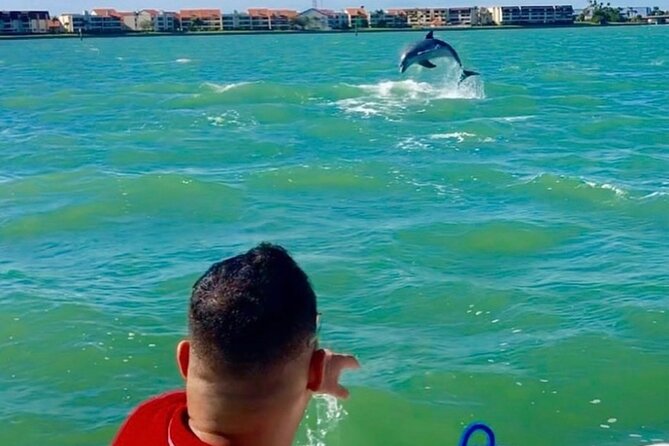 Private Dolphin & Architecture Tour in St. Petersburg, Fl - Captain Joe and the tone of the outing