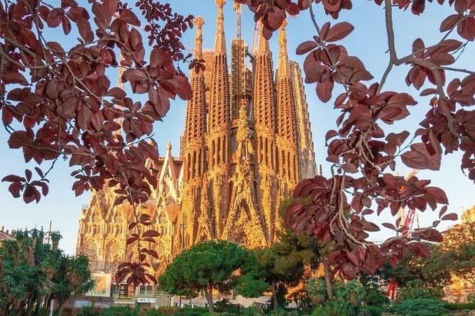 Private Golden Hour Tour: Sagrada Familia & Park Güell Sunset - What the private guide adds