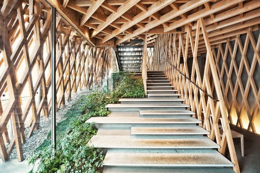 Private Harajuku Omotesando Architecture Tour - What the guides add to the experience