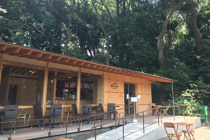 Private Harajuku Omotesando Architecture Walking Tour - The cafe pause and the real rhythm of the walk