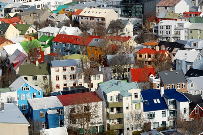 Private Reykjavik City and Architecture Walking Tour - A taste of Iceland, from skyr to fermented shark