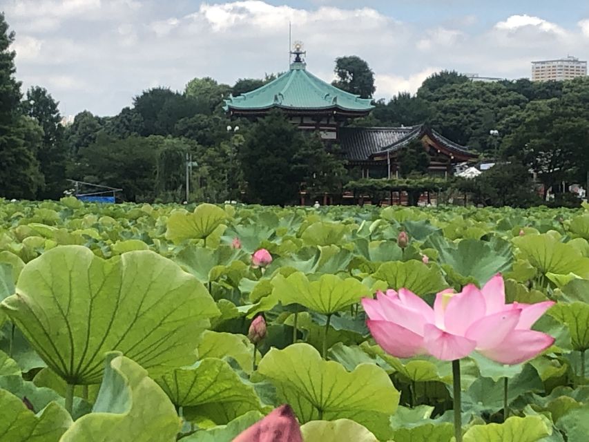 Private Ueno Park Architecture Tour - Who will enjoy this tour most?