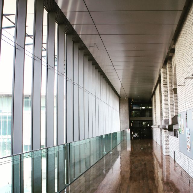 Private Ueno Park Architecture Tour - Four architectural chapters at the Tokyo National Museum