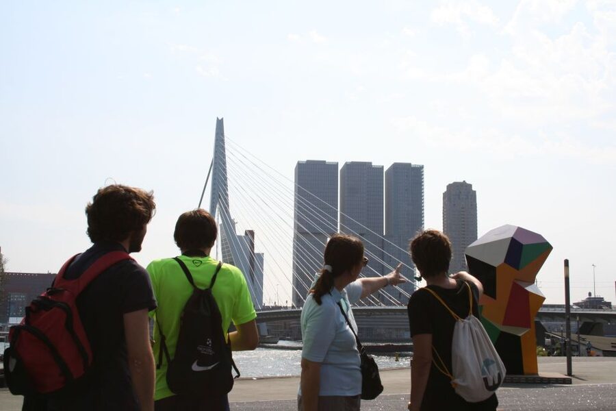 Rotterdam: Architectural Highlights Guided Walking Tour - Inside the Markthal, then under the Cube Houses