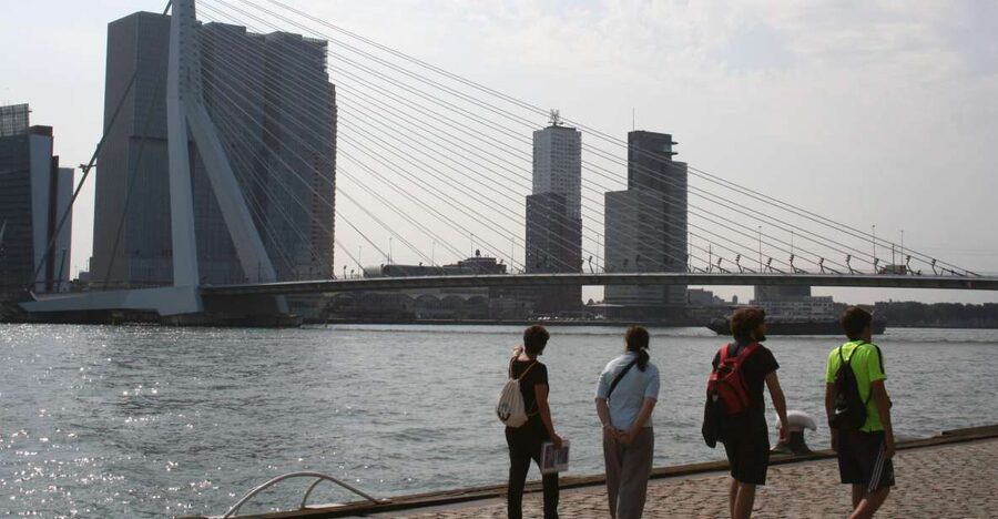 Rotterdam: Architectural Highlights Guided Walking Tour - Should you book the Rotterdam architecture walk?