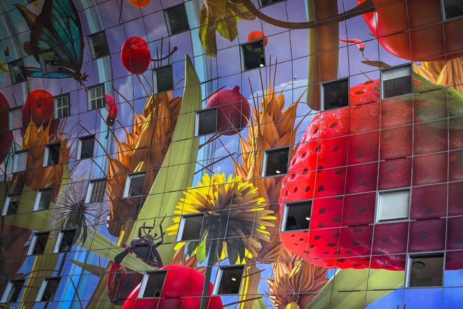 Rotterdam: Highlights, Gems, Architecture & History Walk - Who should book this walk