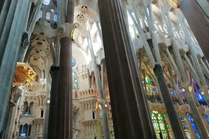 Sagrada Familia and Park Guell Guided Tour with Transport - What the guide adds at Park Güell