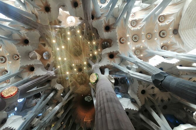 Sagrada Familia and Park Guell Guided Tour with Transport - Inside the basilica, columns like a stone forest
