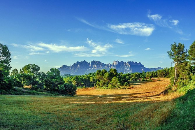 Sagrada Familia & Montserrat Small Group Tour with Hotel pick-up - Passeig de Gràcia and Barcelona’s modernist face