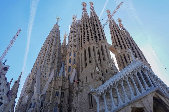 Sagrada Familia & Park Guell Guided Tour - Park Güell: Gaudí’s garden of curves and color