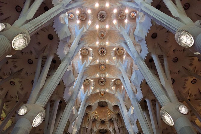 Sagrada Familia Skip-the-Line Private Tour with Guide - Timed entry and the temporary entrance change