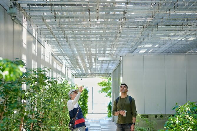 Small-Group Architecture Tour in Ginza, Tokyo - Key things to know before you book