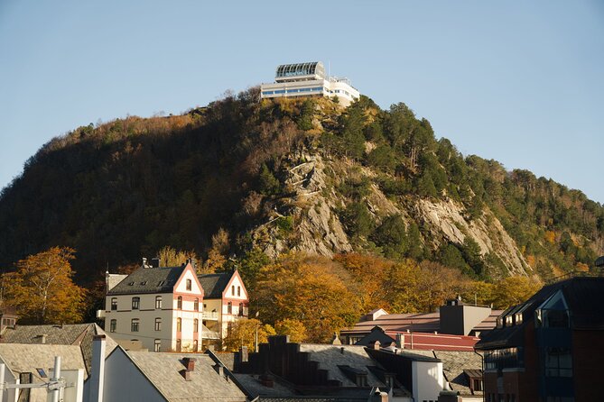 Small-Group Walk in Ålesund: Art Nouveau & Insider Tips - Reading the details along Kongens gate