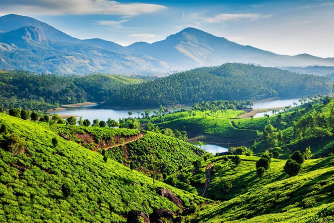 South India Tour- Temple Architecture and Backwaters - Days 8 and 9: Munnar’s tea hills
