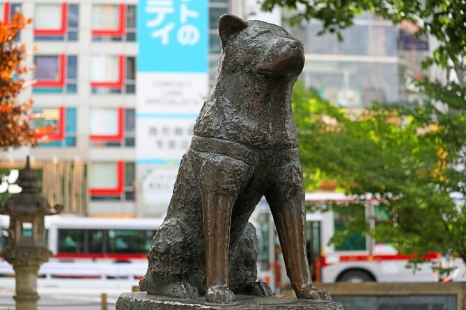 Tokyo: Shibuya Highlights Walking Tour & Secret View Spot - Guide quality makes the difference
