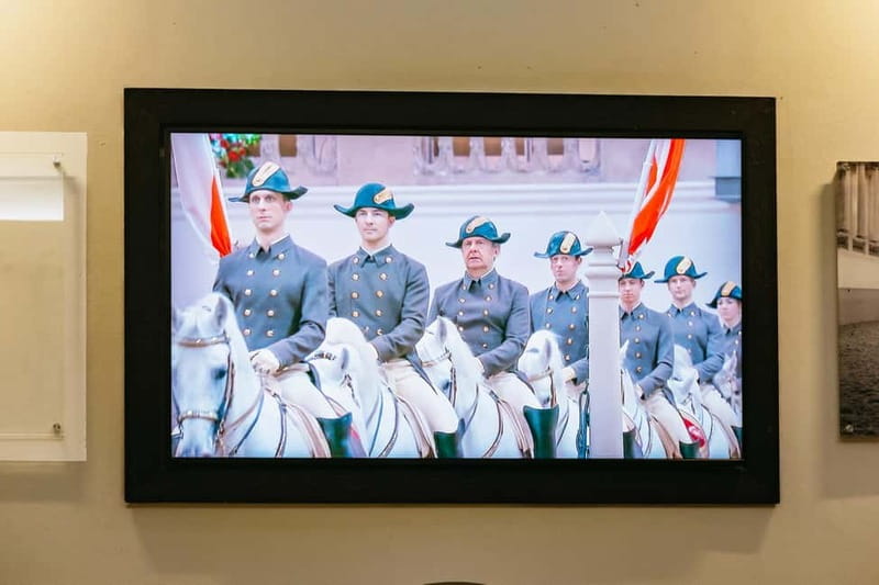 Vienna: Spanish Riding School Guided Architectural Tour - Practical advice for a smooth visit