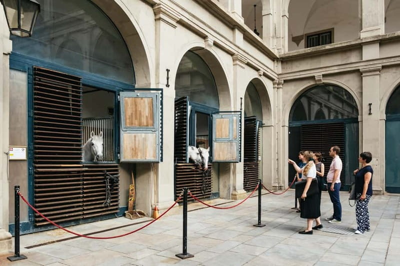 Vienna: Spanish Riding School Guided Architectural Tour - The stables and the Lipizzaner connection