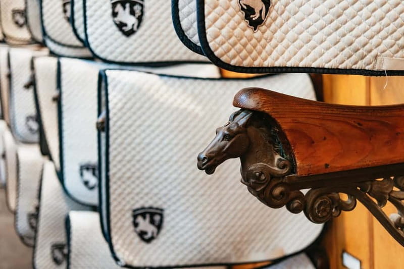 Vienna: Spanish Riding School Guided Architectural Tour - Who will enjoy this tour most