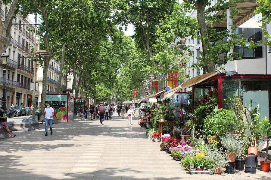 Walking Tour Gothic Quarter and Ramblas+Boat Trip - A compact introduction to Barcelona’s old center