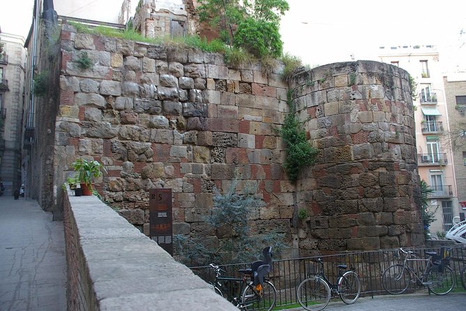 Walking tour of the Gothic Quarter of Barcelona + Cathedral - Palau de la Generalitat and Catalan government