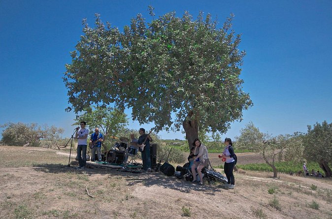 Wine and Food Baroque Day Tour – Private Experience - The tasting table: bread, olives, cheese, and local plates