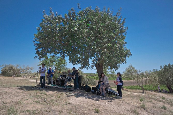 Wine and Food Baroque Day Tour – Private Experience - What the $210 price really covers