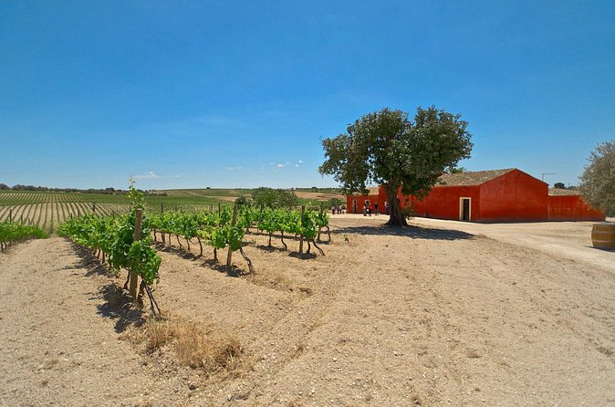 Wine and Food Baroque Day Tour – Private Experience - The weather question deserves attention