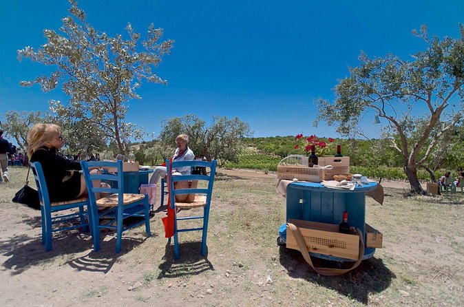 Wine and Food Baroque Day Tour – Private Experience - Who should book this experience