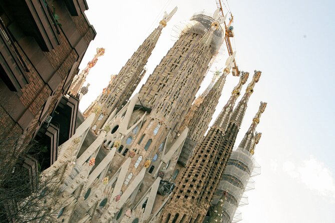 Wine tasting with a view of the Sagrada Familia - Cancellation and booking details that matter